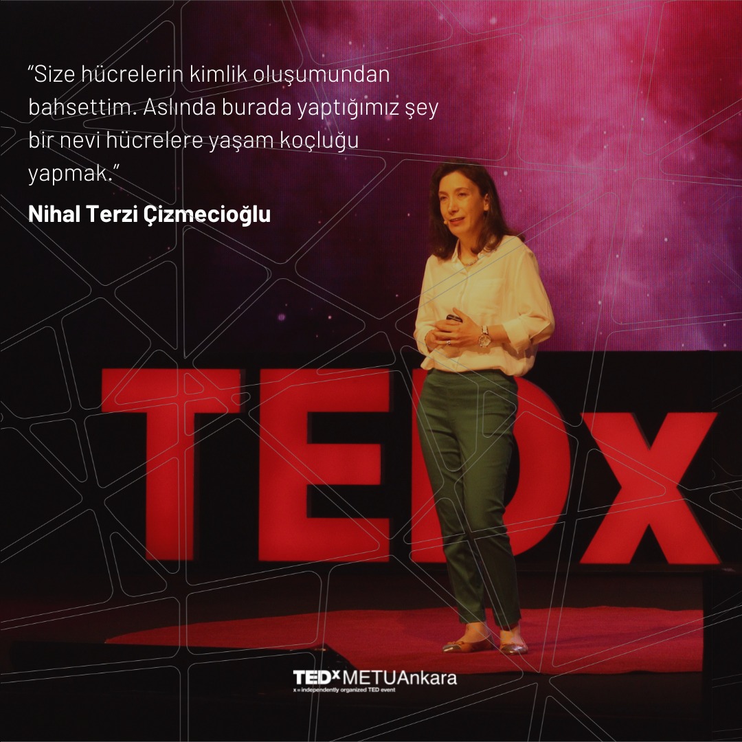 TedX